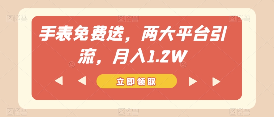 手表免费送，两大平台引流，月入1.2W【揭秘】-买得值资源库