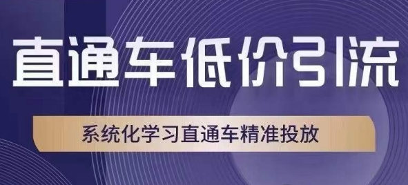 直通车低价引流课，系统化学习直通车精准投放-买得值资源库