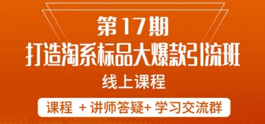 南掌柜-第17期打造淘系标品大爆款，5天线上课-买得值资源库