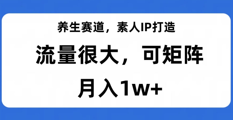 养生赛道，素人IP打造，流量很大，可矩阵，月入1w+【揭秘】-买得值资源库