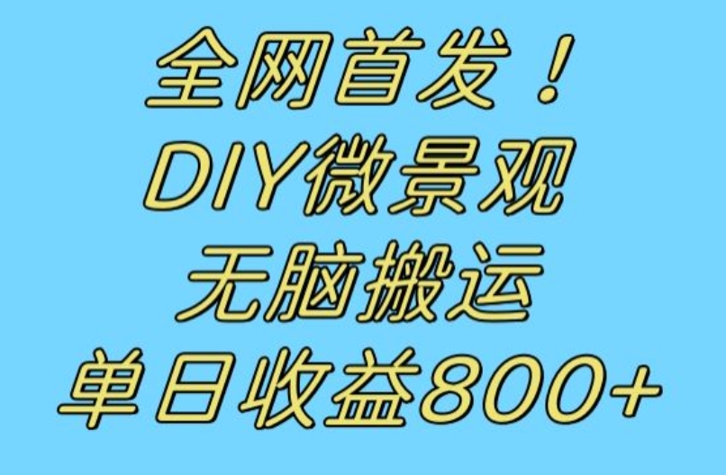 全网首发冷门赛道！DIY微景观，无脑搬运视频，日收益800+【揭秘】-买得值资源库
