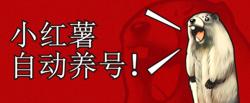 小红书养号秘籍，如何自动涨粉清晰系统标签打造高权重账号【揭秘】-买得值资源库
