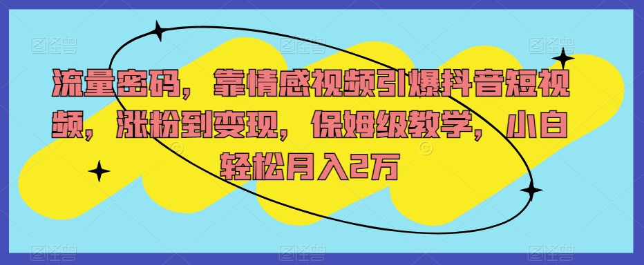 流量密码，靠情感视频引爆抖音短视频，涨粉到变现，保姆级教学，小白轻松月入2万【揭秘】-买得值资源库