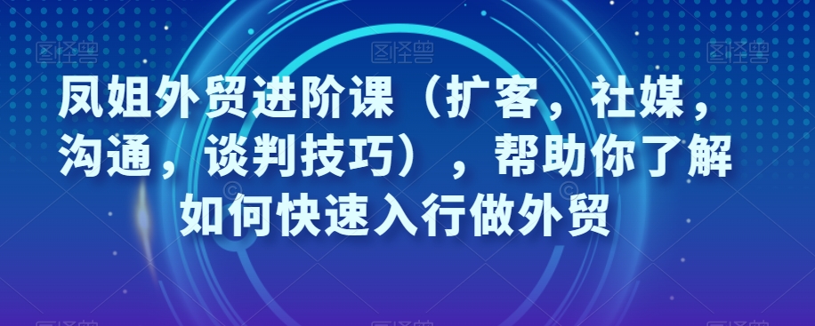 凤姐外贸进阶课（扩客，社媒，沟通，谈判技巧），帮助你了解如何快速入行做外贸-买得值资源库