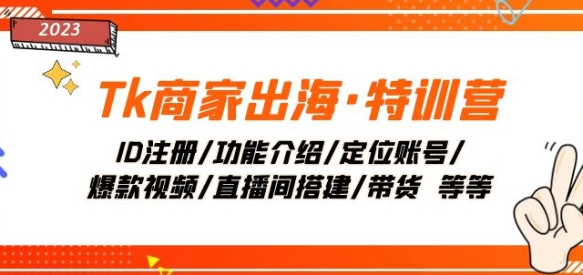 Tk商家出海·特训营：ID注册/功能介绍/定位账号/爆款视频/直播间搭建/带货-买得值资源库