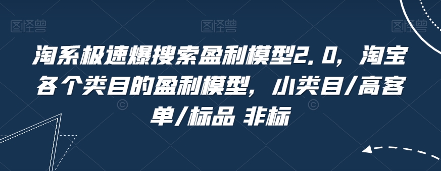 淘系极速爆搜索盈利模型2.0，淘宝各个类目的盈利模型，小类目/高客单/标品 非标-买得值资源库
