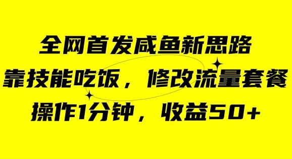 咸鱼冷门新玩法，靠“技能吃饭”，修改流量套餐，操作1分钟，收益50【揭秘】-买得值资源库