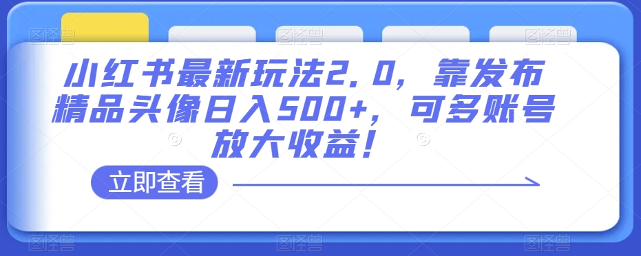 小红书最新玩法2.0，靠发布精品头像日入500+，可多账号放大收益！【揭秘】-买得值资源库