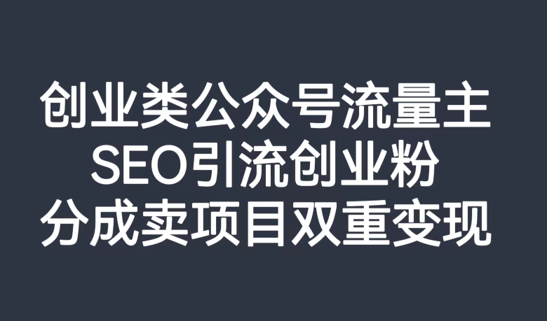 创业类公众号流量主，SEO引流创业粉，分成卖项目双重变现【揭秘】-买得值资源库