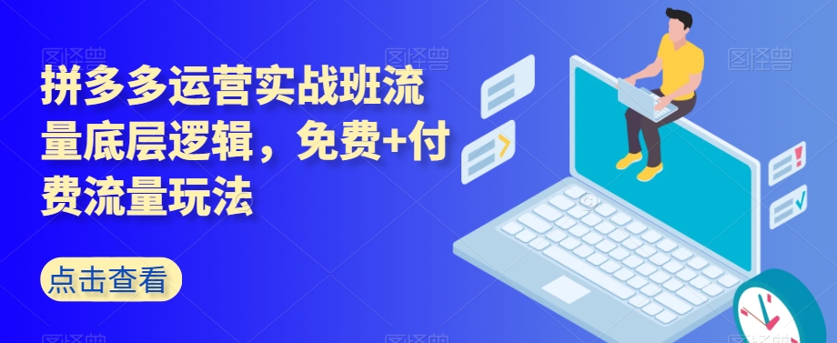 拼多多运营实战班流量底层逻辑，免费+付费流量玩法-买得值资源库