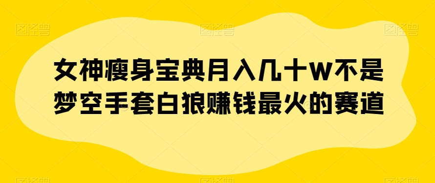 女神瘦身宝典月入几十W不是梦空手套白狼赚钱最火的赛道【揭秘】-买得值资源库
