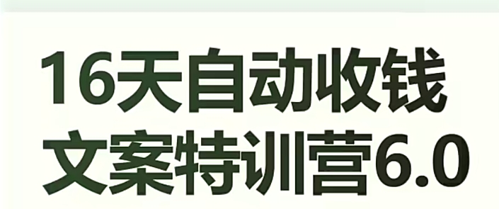 16天自动收钱文案特训营6.0，学会儿每天自动咔咔收钱-买得值资源库