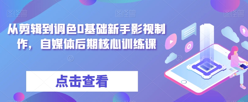 从剪辑到调色0基础新手影视制作，自媒体后期核心训练课-买得值资源库
