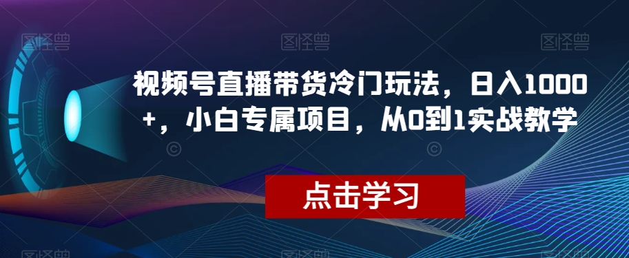 视频号直播带货冷门玩法，日入1000+，小白专属项目，从0到1实战教学【揭秘】-买得值资源库