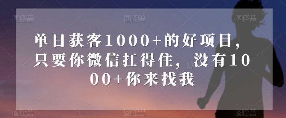 单日获客1000+的好项目，只要你微信扛得住，没有1000+你来找我【揭秘】-买得值资源库