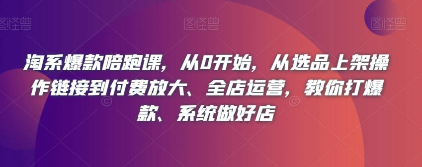淘系爆款陪跑课，从0开始，从选品上架操作链接到付费放大、全店运营，教你打爆款、系统做好店-买得值资源库