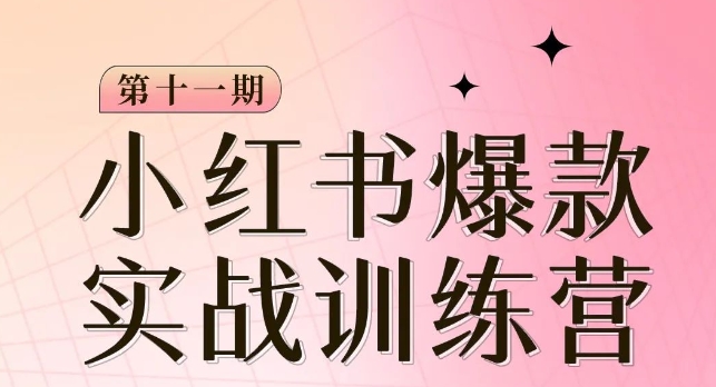 小红书博主爆款训练营第11期，手把手教你从0-1做小红书，从定位到起号到变现-买得值资源库