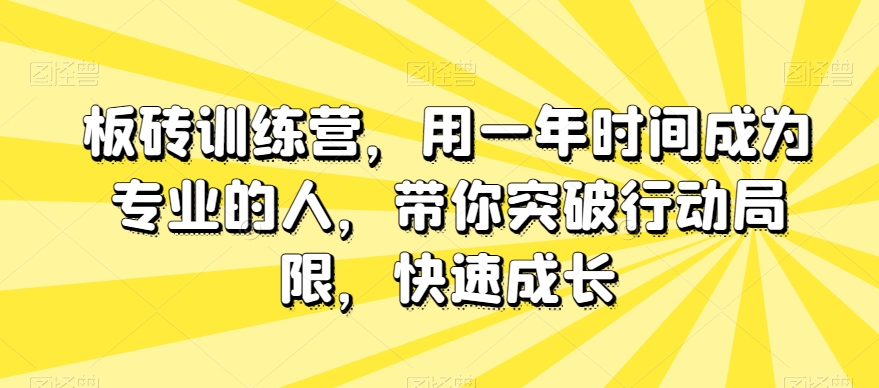 板砖训练营，用一年时间成为专业的人，带你突破行动局限，快速成长-买得值资源库