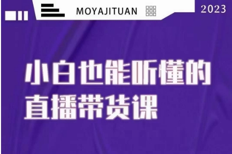 大威本威·能听懂的直播带货课，小白也能听懂，20节完整-买得值资源库