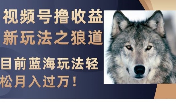视频号撸收益新玩法之狼道，目前蓝海玩法，轻松月入过万【揭秘】-买得值资源库