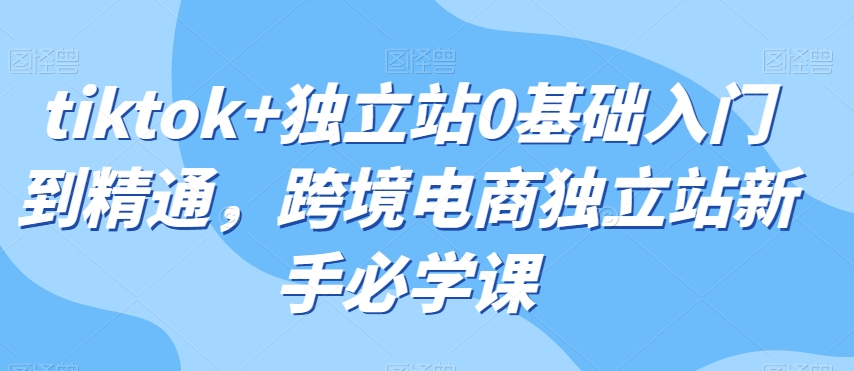 tiktok+独立站0基础入门到精通，跨境电商独立站新手必学课-买得值资源库