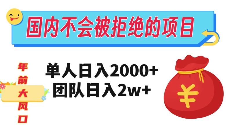 在国内不怕被拒绝的项目，单人日入2000，团队日入20000+【揭秘】-买得值资源库