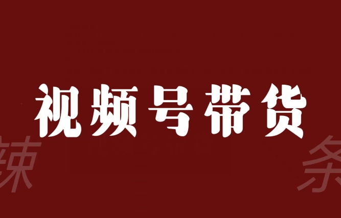 视频号带货联盟，赚信息差的带货钱，只需手机随时随地都可以做！-买得值资源库