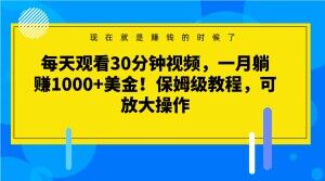 每天观看30分钟视频，一月躺赚1000+美金！保姆级教程，可放大操作【揭秘】-买得值资源库