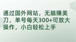 通过国外网站，无脑赚美刀，单号每天300+可放大操作，小白轻松上手【揭秘】-买得值资源库