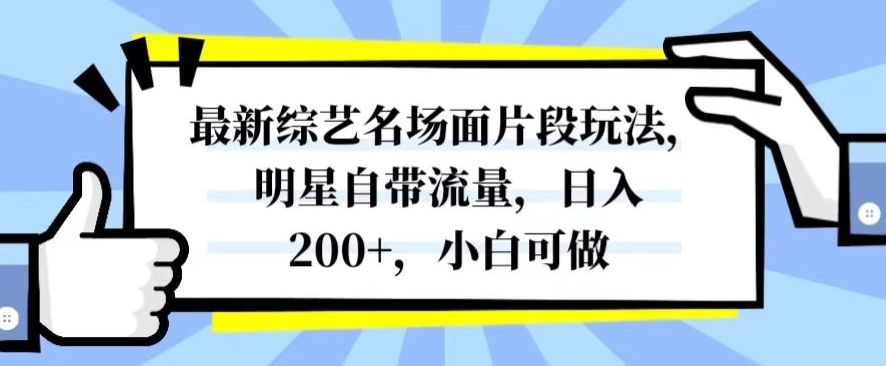 最新综艺名场面片段玩法，明星自带流量，日入200+，小白可做【揭秘】-买得值资源库
