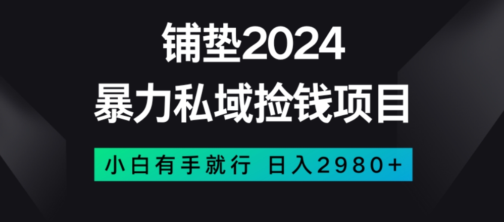 暴力私域捡钱项目，小白无脑操作，日入2980【揭秘】-买得值资源库