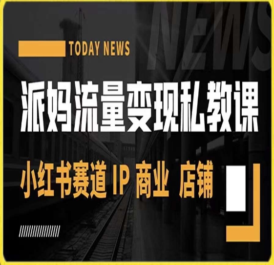 派妈流量变现私教课，小红书赛道IP  商业  店铺 -买得值资源库