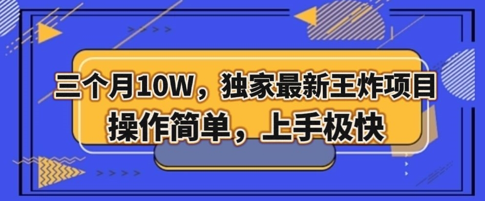三个月10W，独家最新王炸项目！操作简单，上手极快【揭秘】-买得值资源库