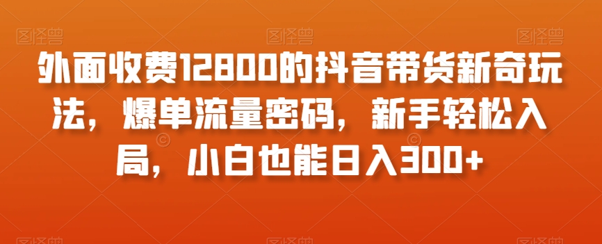 外面收费12800的抖音带货新奇玩法，爆单流量密码，新手轻松入局，小白也能日入300+【揭秘】-买得值资源库