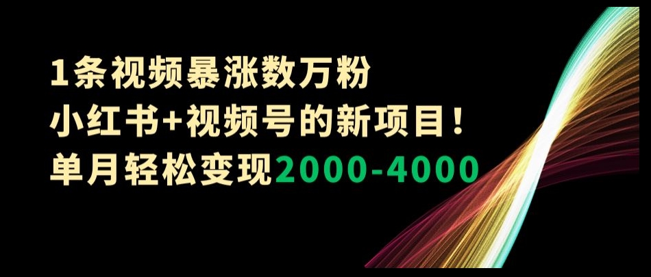 1条视频暴涨数万粉–小红书+视频号的新项目！单月轻松变现2000-4000【揭秘】-买得值资源库