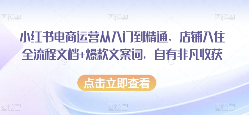 小红书电商运营从入门到精通，店铺入住全流程文档+爆款文案词，自有非凡收获-买得值资源库