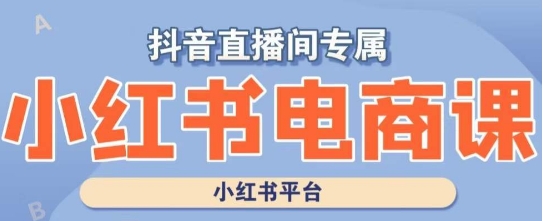 小红书电商高级运营课程，实操教学+案例分析-买得值资源库