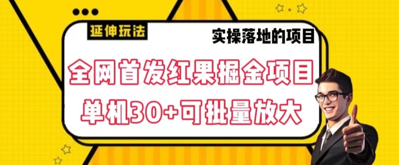 全网首发红果免费短剧掘金项目，单机30+可批量放大【揭秘】-买得值资源库