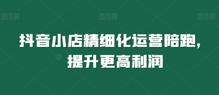 抖音小店精细化运营陪跑，提升更高利润-买得值资源库