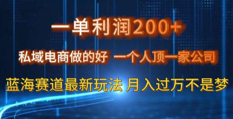 一单利润200私域电商做的好，一个人顶一家公司蓝海赛道最新玩法【揭秘】-买得值资源库