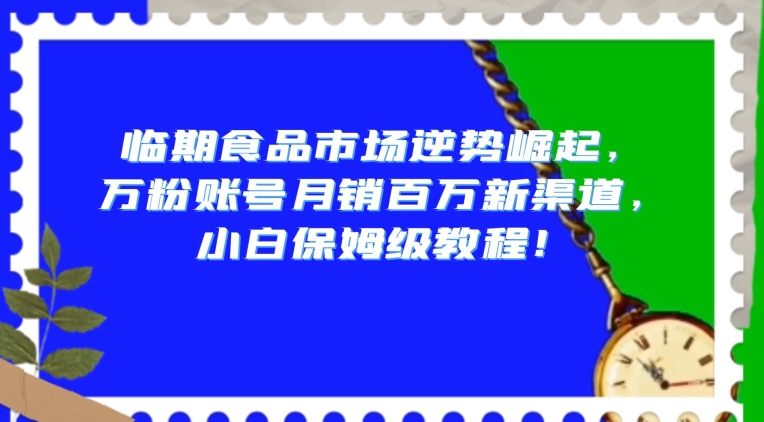 临期食品市场逆势崛起，万粉账号月销百万新渠道，小白保姆级教程【揭秘】-买得值资源库