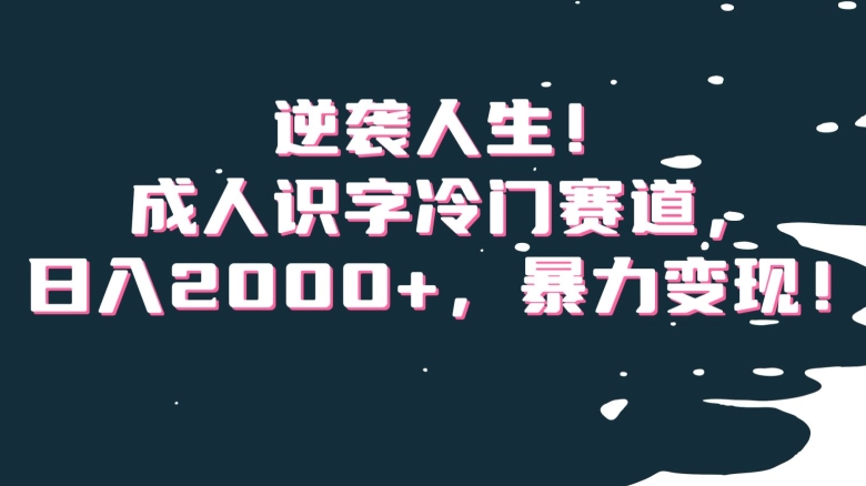 逆袭人生！成人识字冷门赛道，日入2000+，暴力变现！【揭秘】-买得值资源库