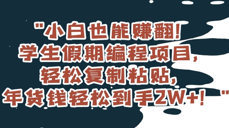 小白也能赚翻！学生假期编程项目，轻松复制粘贴，年货钱轻松到手2W+【揭秘】-买得值资源库