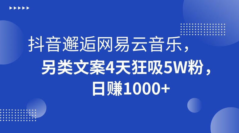抖音邂逅网易云音乐，另类文案4天狂吸5W粉，日赚1000+【揭秘】-买得值资源库