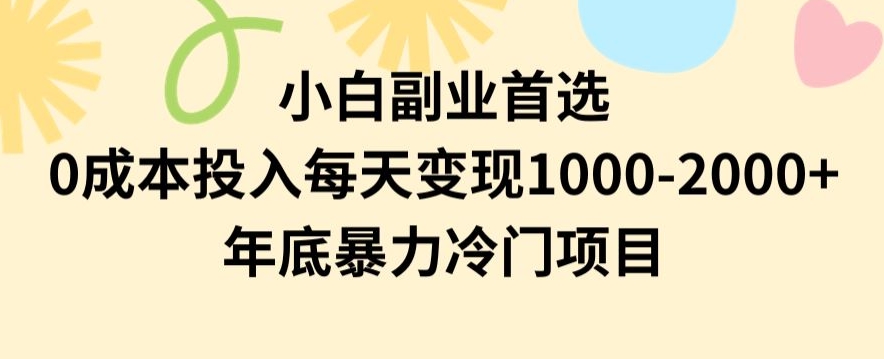 小白副业首选，0成本投入，每天变现1000-2000年底暴力冷门项目【揭秘】-买得值资源库
