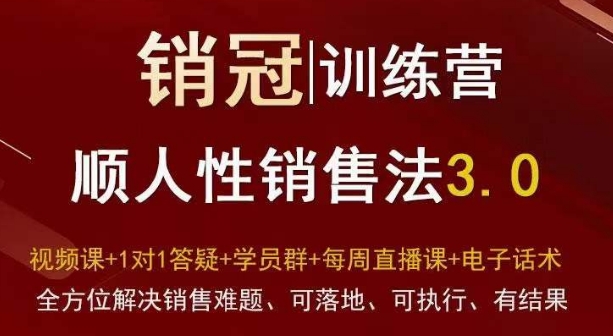 爆款！销冠训练营3.0之顺人性销售法，全方位解决销售难题、可落地、可执行、有结果-买得值资源库