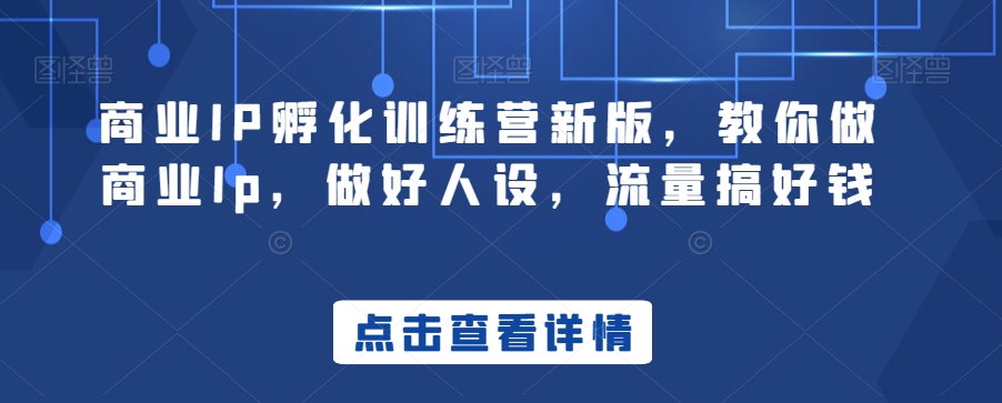 商业IP孵化训练营新版，教你做商业Ip，做好人设，流量搞好钱-买得值资源库