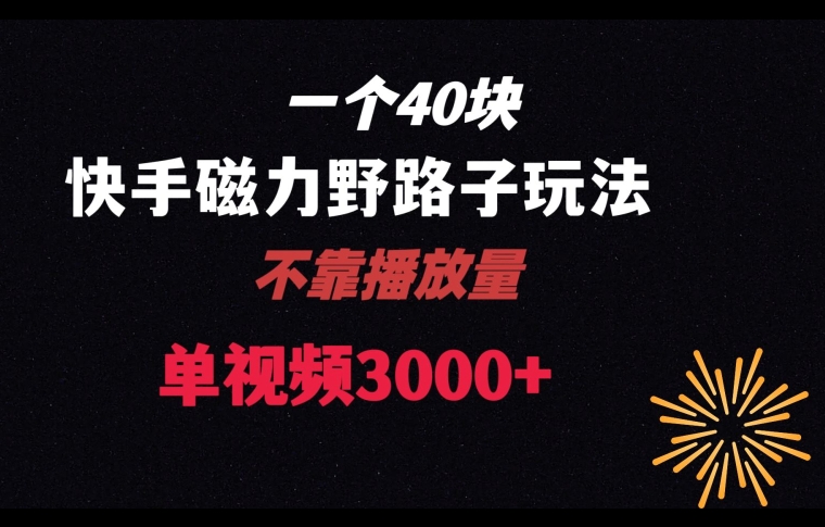 一个40块，快手联合美团磁力新玩法，无视机制野路子玩法，单视频收益4位数【揭秘】-买得值资源库