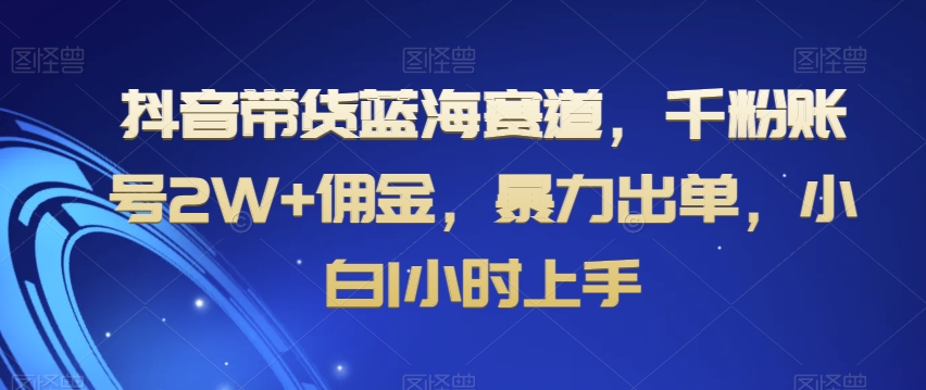 抖音带货蓝海赛道，千粉账号2W+佣金，暴力出单，小白1小时上手【揭秘】-买得值资源库