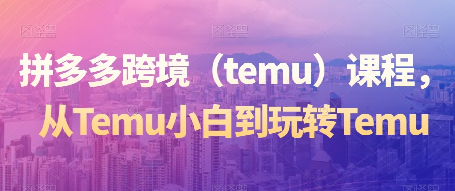 拼多多跨境（temu）课程，从Temu小白到玩转Temu-买得值资源库